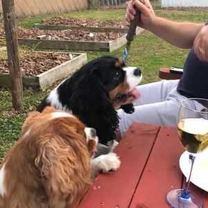 Meet your Posher, Jacob